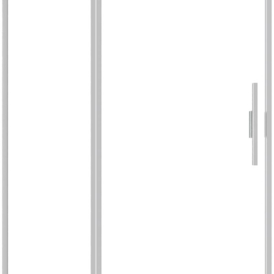 Душевая дверь Allen Brau Priority 100 серебро браш 3.31005.BA