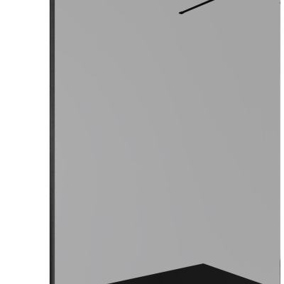 Душевая перегородка Allen Brau Infinity 1 160 3.21034.BBA.T черный браш